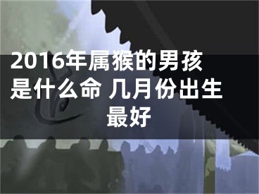 2016年属猴的男孩是什么命 几月份出生最好