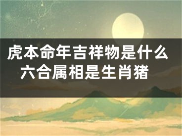 虎本命年吉祥物是什么 六合属相是生肖猪