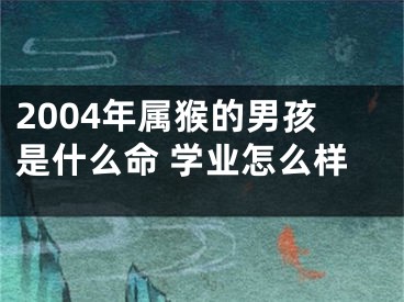 2004年属猴的男孩是什么命 学业怎么样