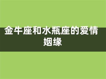 金牛座和水瓶座的爱情姻缘