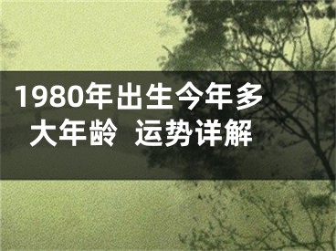 1980年出生今年多大年龄  运势详解