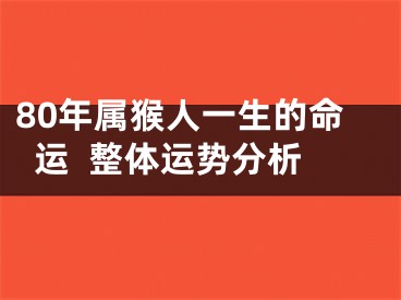 80年属猴人一生的命运  整体运势分析