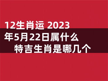 12生肖运 2023年5月22日属什么 特吉生肖是哪几个