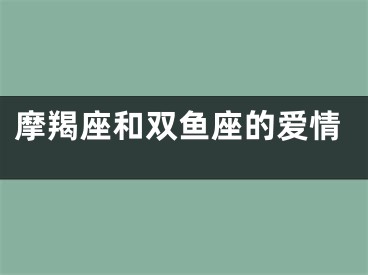 摩羯座和双鱼座的爱情