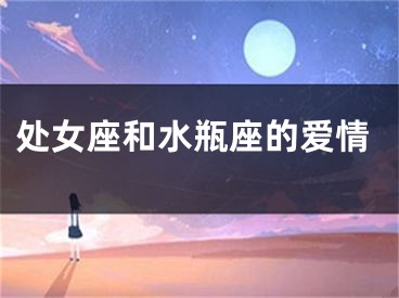 处女座和水瓶座的爱情