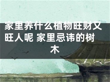 家里养什么植物旺财又旺人呢 家里忌讳的树木