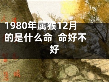 1980年属猴12月的是什么命  命好不好