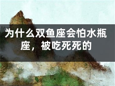 为什么双鱼座会怕水瓶座，被吃死死的