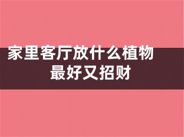 家里客厅放什么植物 最好又招财