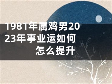 1981年属鸡男2023年事业运如何  怎么提升