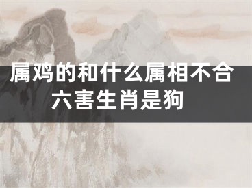 属鸡的和什么属相不合 六害生肖是狗