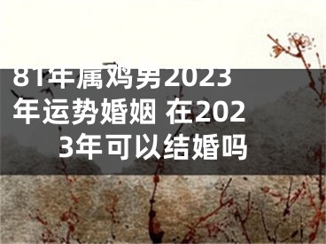 81年属鸡男2023年运势婚姻 在2023年可以结婚吗