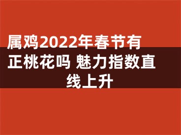 属鸡2022年春节有正桃花吗 魅力指数直线上升