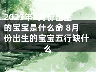 2023年8月份出生的宝宝是什么命 8月份出生的宝宝五行缺什么