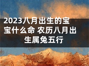 2023八月出生的宝宝什么命 农历八月出生属兔五行