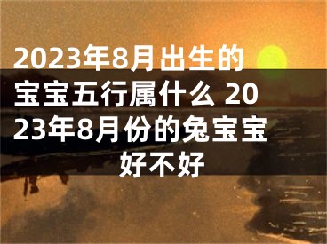 2023年8月出生的宝宝五行属什么 2023年8月份的兔宝宝好不好