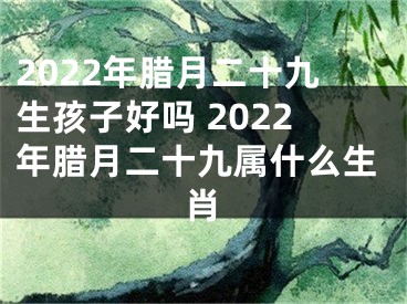 2022年腊月二十九生孩子好吗 2022年腊月二十九属什么生肖