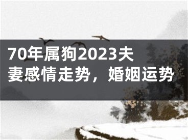 70年属狗2023夫妻感情走势，婚姻运势