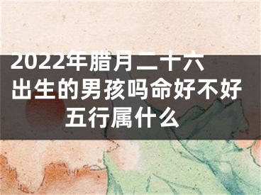 2022年腊月二十六出生的男孩吗命好不好 五行属什么