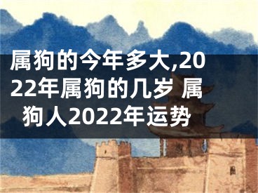 属狗的今年多大,2022年属狗的几岁 属狗人2022年运势