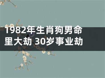 1982年生肖狗男命里大劫 30岁事业劫