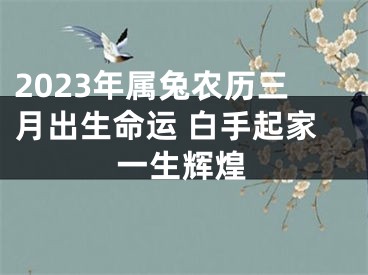 2023年属兔农历三月出生命运 白手起家一生辉煌