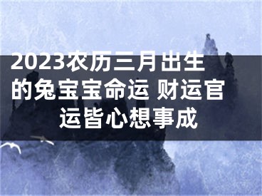 2023农历三月出生的兔宝宝命运 财运官运皆心想事成