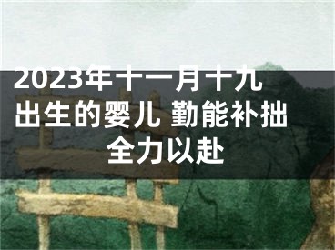 2023年十一月十九出生的婴儿 勤能补拙全力以赴