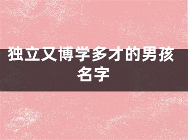 独立又博学多才的男孩名字