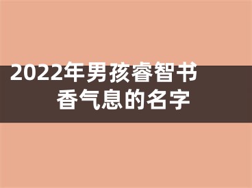 2022年男孩睿智书香气息的名字