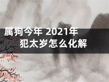 属狗今年 2021年犯太岁怎么化解