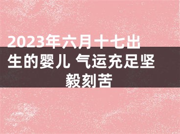 2023年六月十七出生的婴儿 气运充足坚毅刻苦