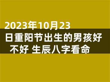 2023年10月23日重阳节出生的男孩好不好 生辰八字看命