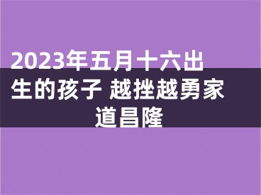 2023年五月十六出生的孩子 越挫越勇家道昌隆