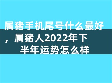 属猪手机尾号什么最好，属猪人2022年下半年运势怎么样