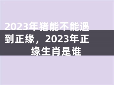 2023年猪能不能遇到正缘，2023年正缘生肖是谁