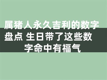 属猪人永久吉利的数字盘点 生日带了这些数字命中有福气