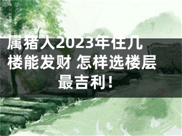 属猪人2023年住几楼能发财 怎样选楼层最吉利！