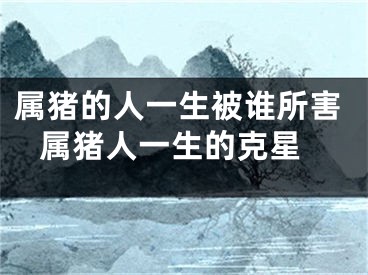 属猪的人一生被谁所害 属猪人一生的克星