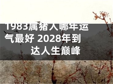 1983属猪人哪年运气最好 2028年到达人生巅峰