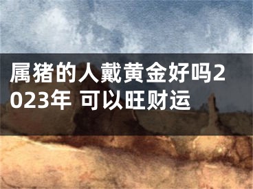 属猪的人戴黄金好吗2023年 可以旺财运