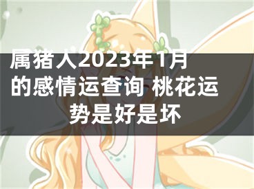 属猪人2023年1月的感情运查询 桃花运势是好是坏