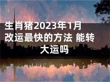 生肖猪2023年1月改运最快的方法 能转大运吗