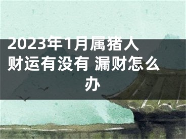 2023年1月属猪人财运有没有 漏财怎么办