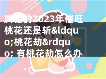 属猪的2023年催旺桃花还是斩&ldquo;桃花劫&rdquo; 有桃花劫怎么办