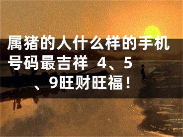 属猪的人什么样的手机号码最吉祥  4、5、9旺财旺福！