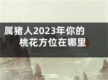 属猪人2023年你的桃花方位在哪里