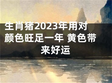 生肖猪2023年用对颜色旺足一年 黄色带来好运