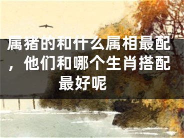 属猪的和什么属相最配，他们和哪个生肖搭配最好呢 