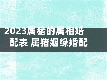 2023属猪的属相婚配表 属猪姻缘婚配